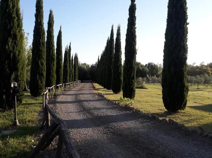 Agriturismo Lupo Cerrino Таркуїнія Екстер'єр фото