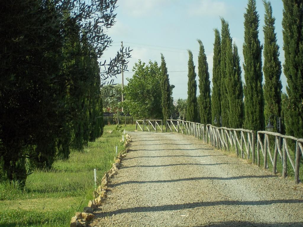 Agriturismo Lupo Cerrino Таркуїнія Екстер'єр фото