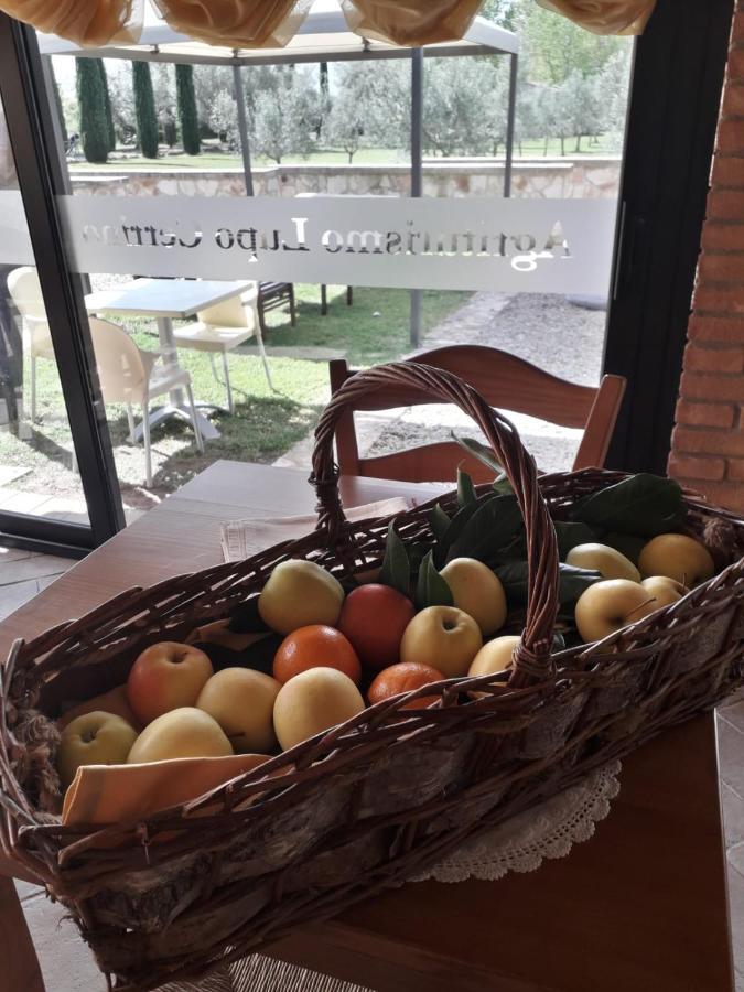 Agriturismo Lupo Cerrino Таркуїнія Екстер'єр фото