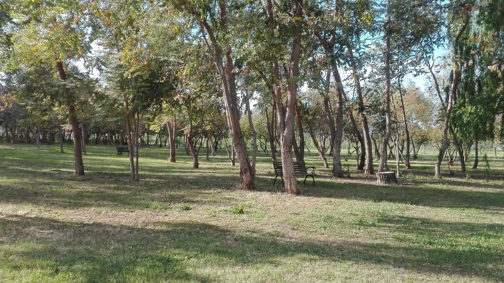 Agriturismo Lupo Cerrino Таркуїнія Екстер'єр фото